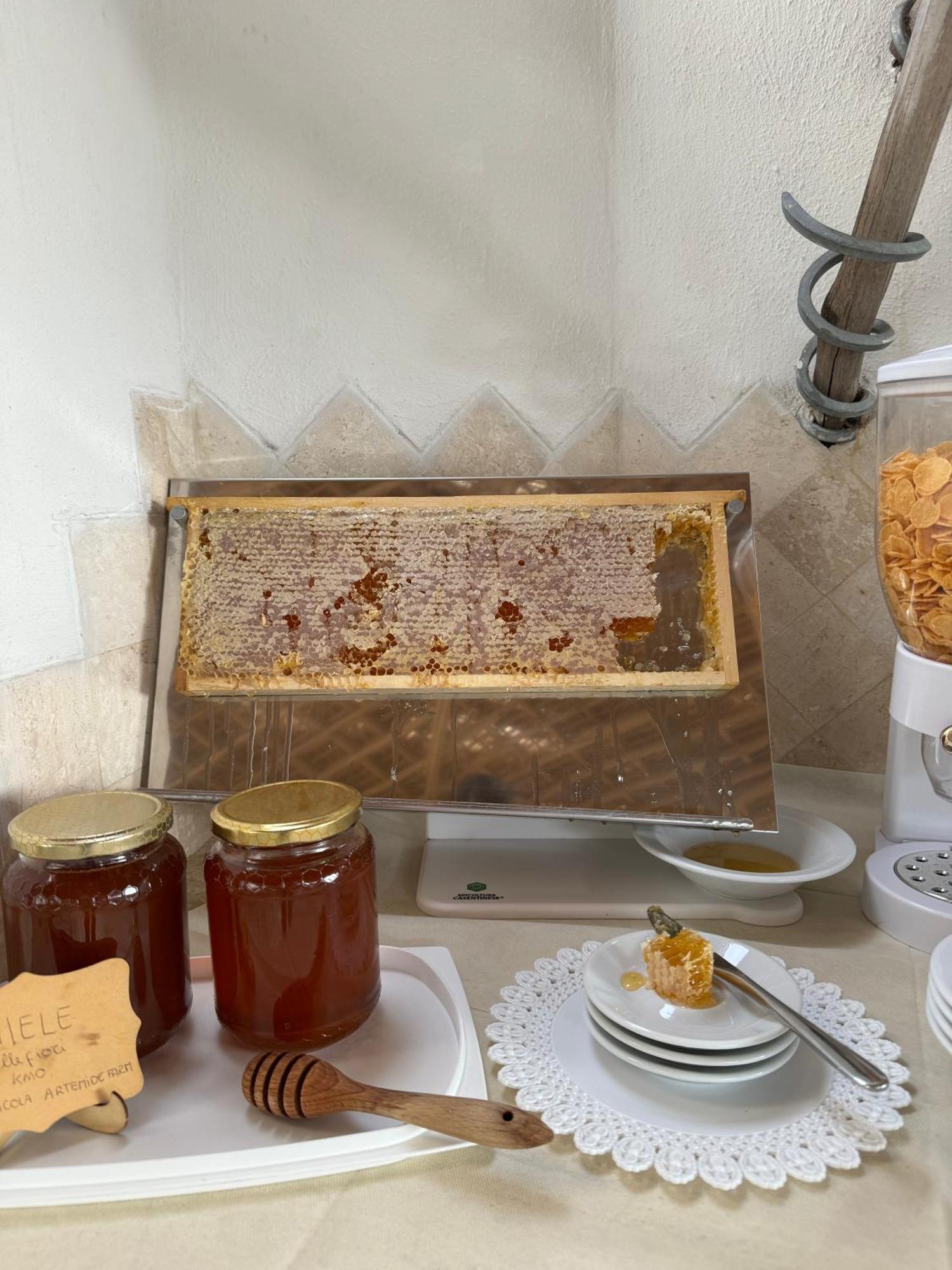 Hypnos Boutique Hotel سان تيودورو المظهر الخارجي الصورة